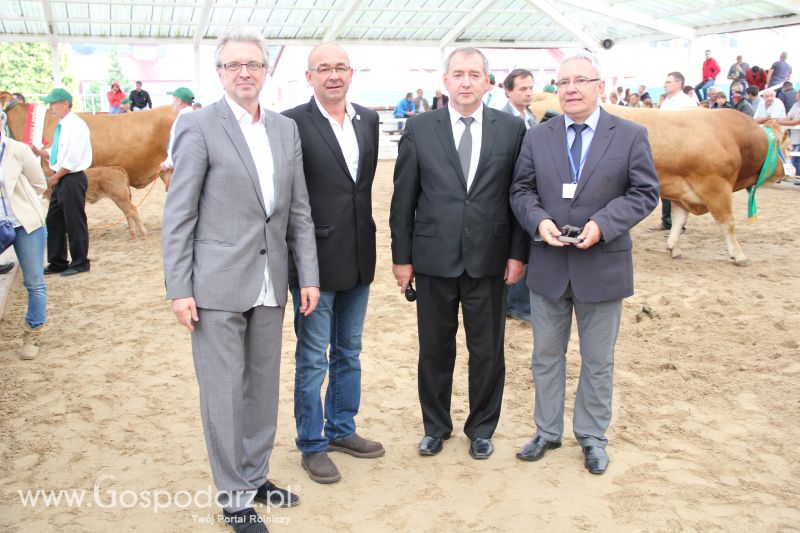 I Krajowa Wystawa Bydła Mięsnego w Sielinku - niedziela