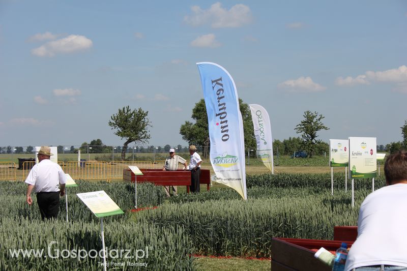 Polskie Zboża 2011 - Sobota