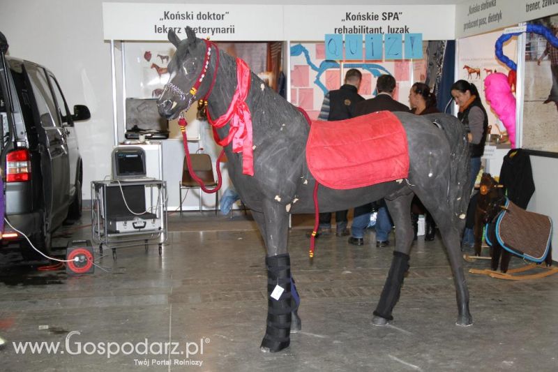 CAVALIADA 2013 w Poznaniu