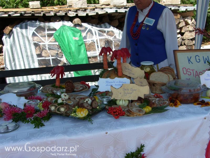 Festiwal Wieprzowiny Targowisko Dolne k/Lubawy 2012