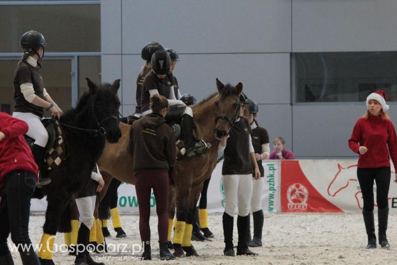 CAVALIADA 2013 w Poznaniu