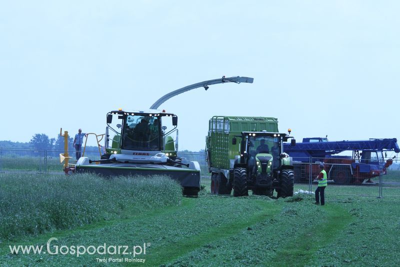 Zielone AgroShow 2016