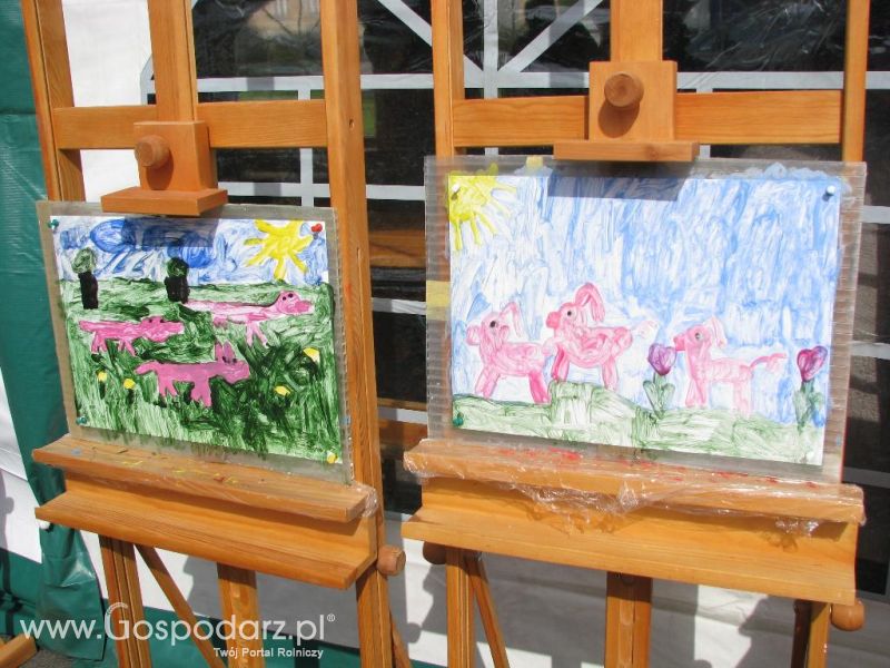 Festiwal Wieprzowiny w Koźminie Wielkopolskim 2013