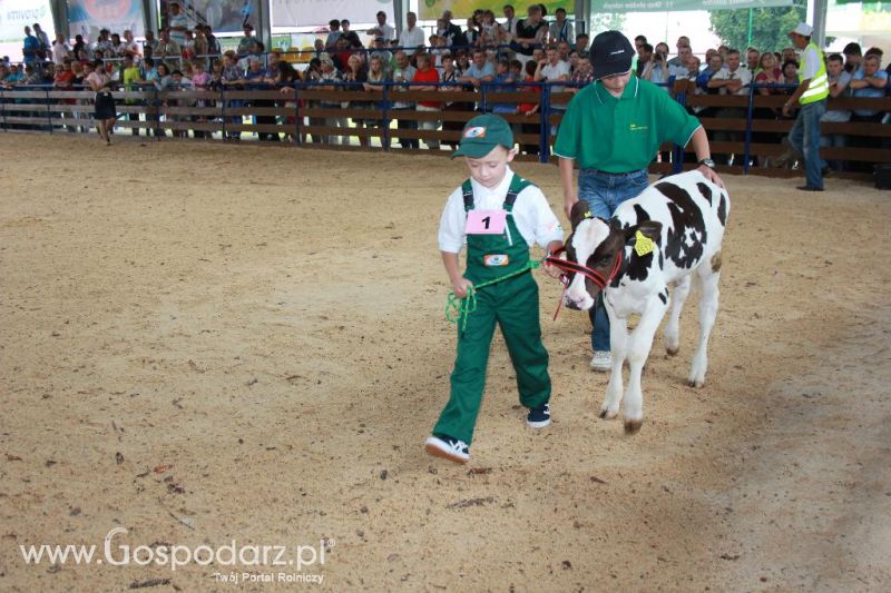 Młody Hodowca - Szepietowo 2013 XX Regionalna Wystawa Zwierząt Hodowlanych