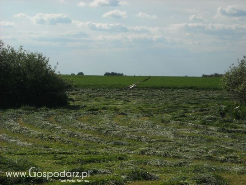pierwsze sianokosy w roli głownej ursus c330M...