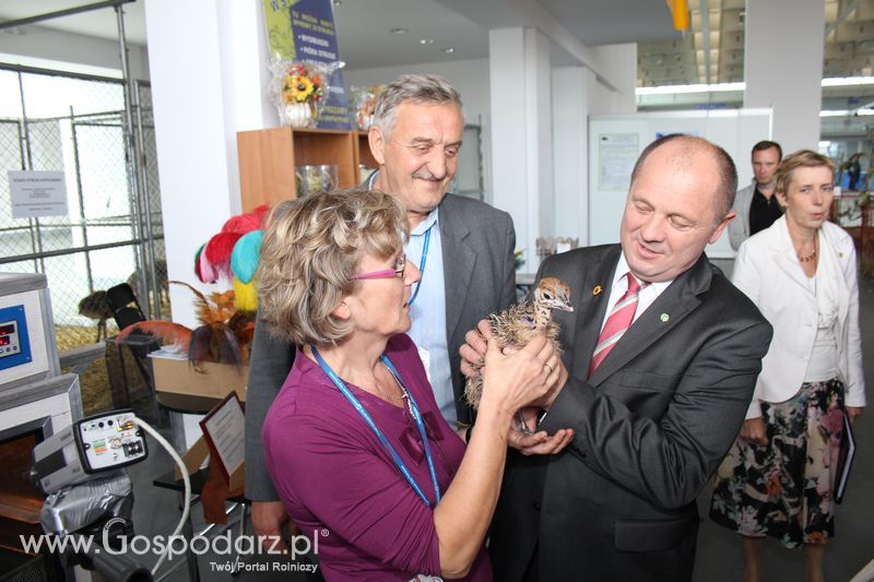 Spacer Ministra Sawickiego po terenie targów Polagra Food i KWZH