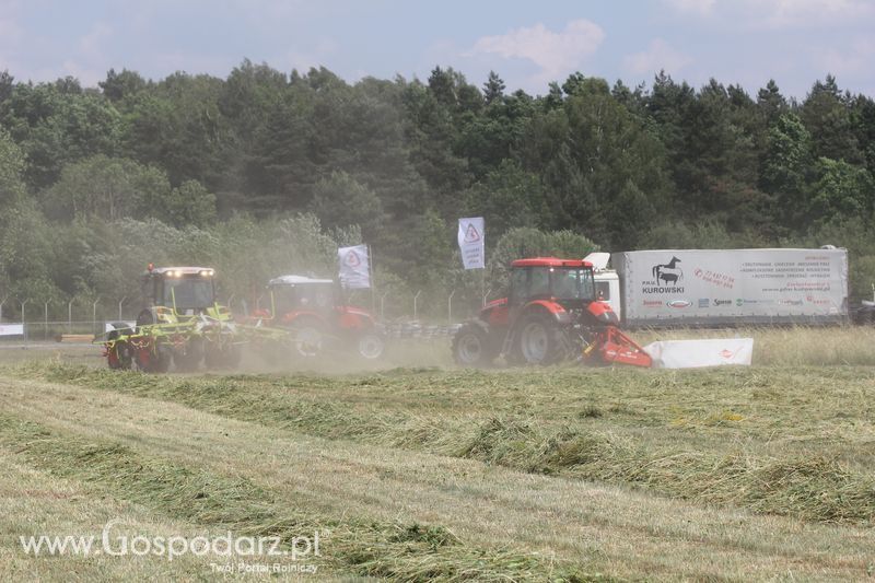 Pokazy polowe podczas targów OPOLAGRA 2015