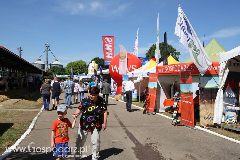 Targi rolne w Szepietowie (27-28.06.2015)