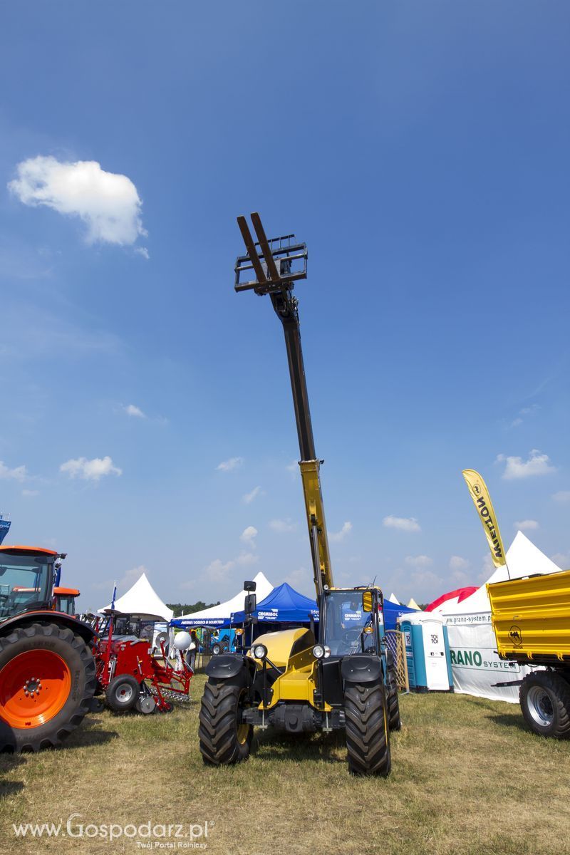 OPOLAGRA 2015 w Kamieniu Śląskim