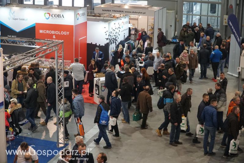 XXXVI Olimpiada Gołębi i Targi Gołębi Pocztowych i Akcesoriów - dzień drugi!