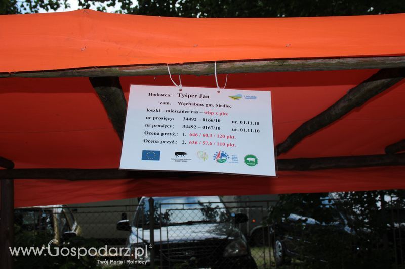 XX Targi Rolnicze Lubniewice - zwierzęta