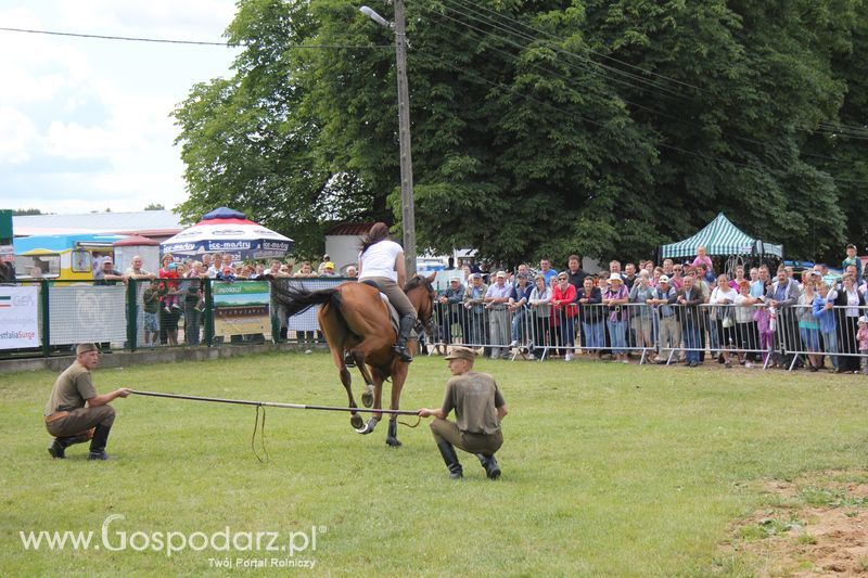XVIII Regionalna Wystawa Zwierząt Hodowlanych i Dni z Doradztwem Rolniczym w Szepietowie - Sobota