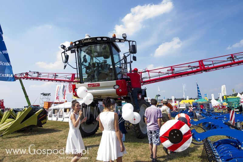 OPOLAGRA 2015 w Kamieniu Śląskim