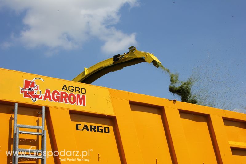 Zielone Agro Show pokaz maszyn rolniczych