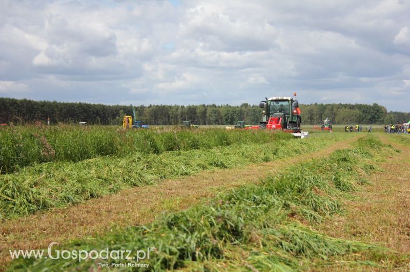Pokazy maszyn Polskie Zboża Zielone Agro Show 2012