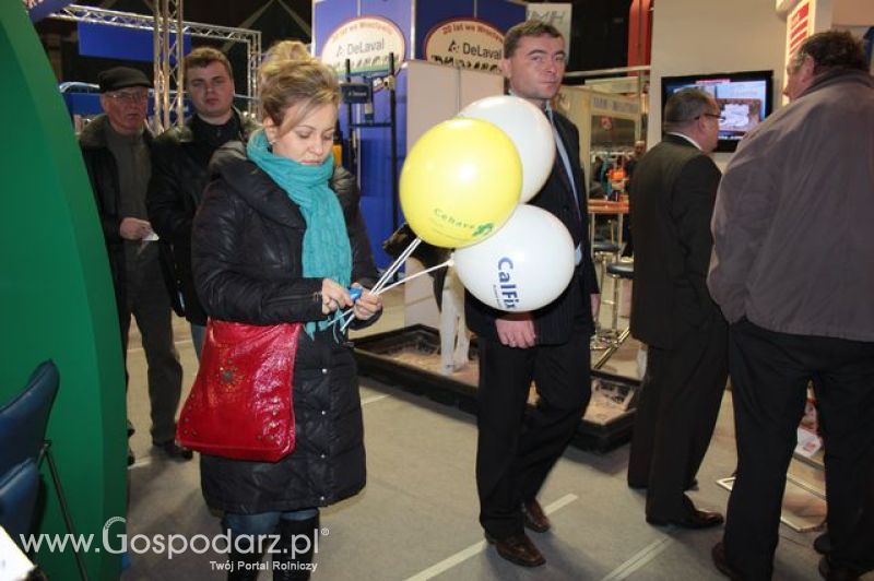 Relacja z XI Międzynarodowych Targów Fermy Bydła - dzień 2 c.d.