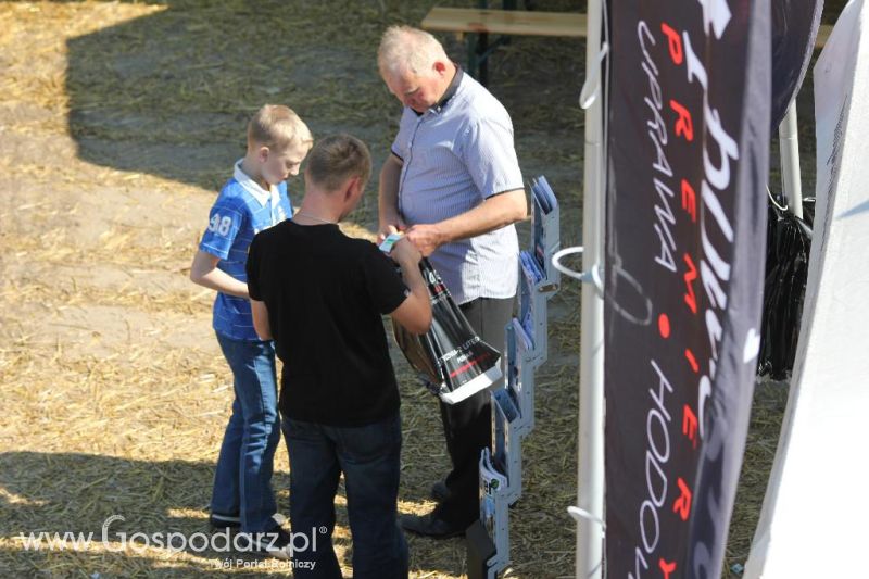 ROLTECHNIKA 2013 w Wilkowicach