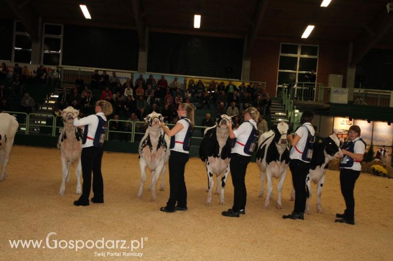 Wystawa  Blickpunkt Rind 2013 w miejscowości Paaren/Glien (Niemcy)