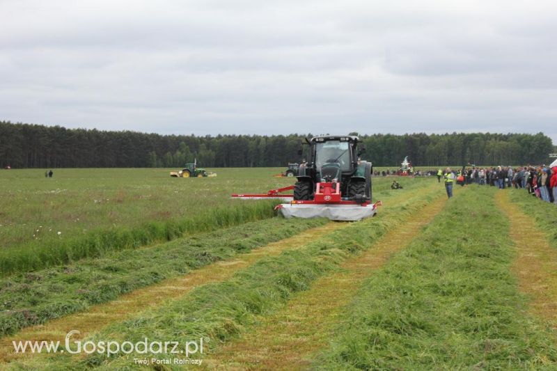 Pokazy maszyn Polskie Zboża Zielone Agro Show 2013