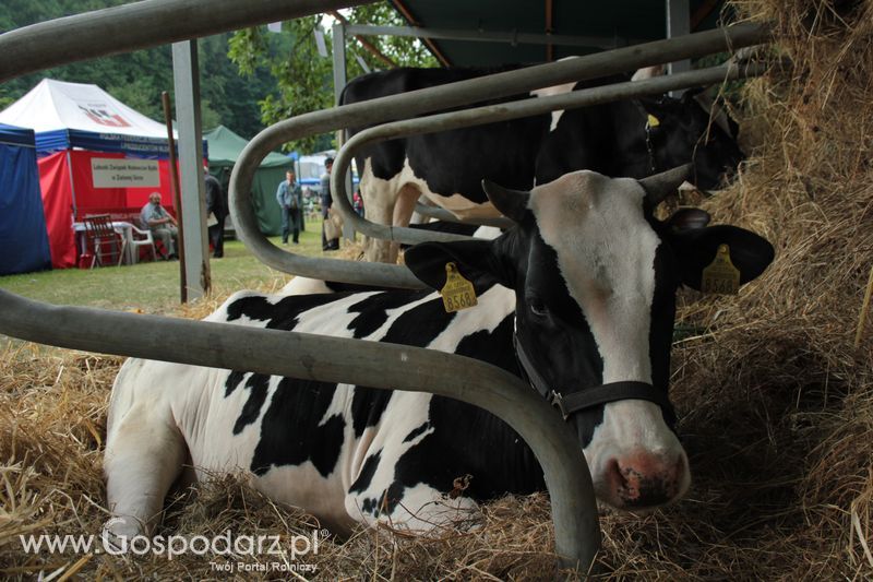  XX Targi Rolnicze Lubniewice