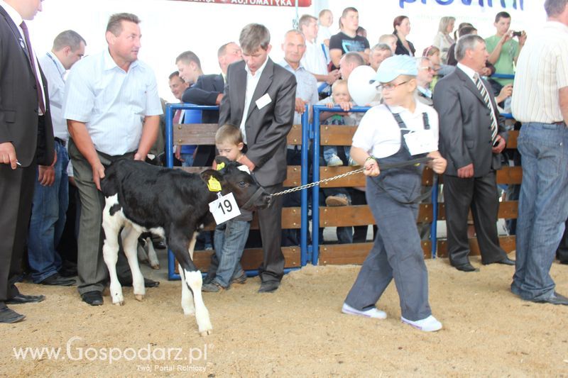 Młody hodowca na XVIII Regionalnej Wystawie Zwierząt Hodowlanych w Szepietowie