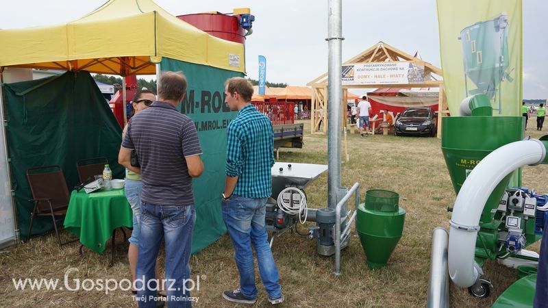 OPOLAGRA 2015 w Kamieniu Śląskim