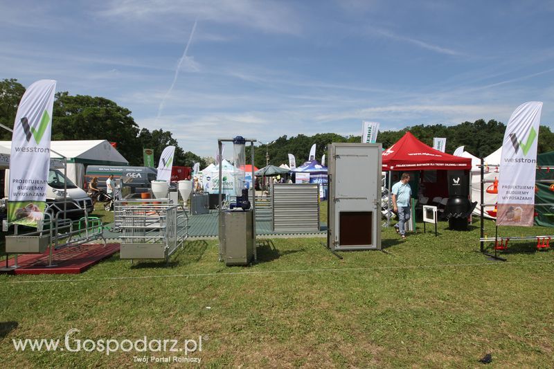 Wesstron na Agro-Tech w Minikowie 2016