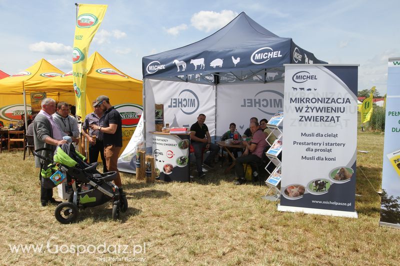 Zielone AGRO SHOW - Polskie Zboża 2015 w Sielinku