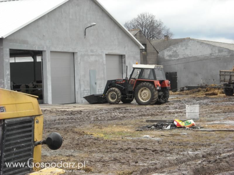 Dzień pracy rolnika-wizyta MrZgredy u MafiaOgiegooo