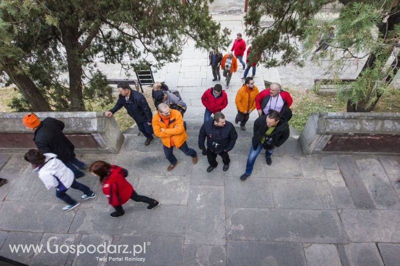 Gospodarz.pl w Chinach