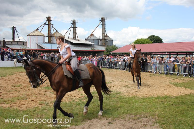 XVIII Regionalna Wystawa Zwierząt Hodowlanych i Dni z Doradztwem Rolniczym w Szepietowie - Sobota