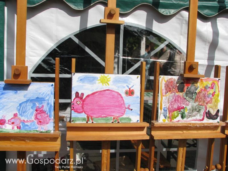 Festiwal Wieprzowiny w Koźminie Wielkopolskim 2013