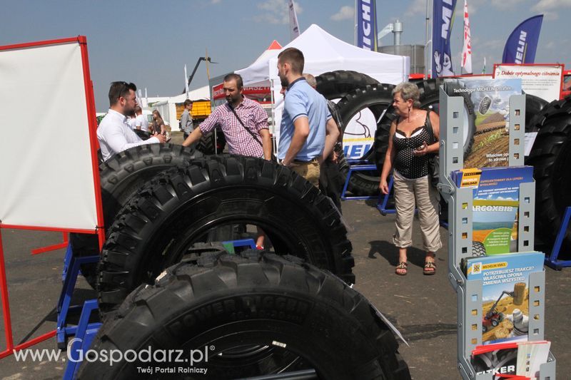 Grasdorf na OPOLAGRA Kamień Śląski 2018