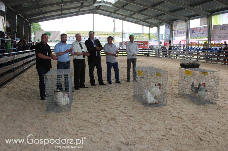 Drób - Szepietowo 2012 XIX Regionalna Wystawa Zwierząt Hodowlanych