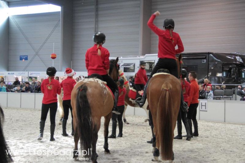 CAVALIADA 2013 w Poznaniu