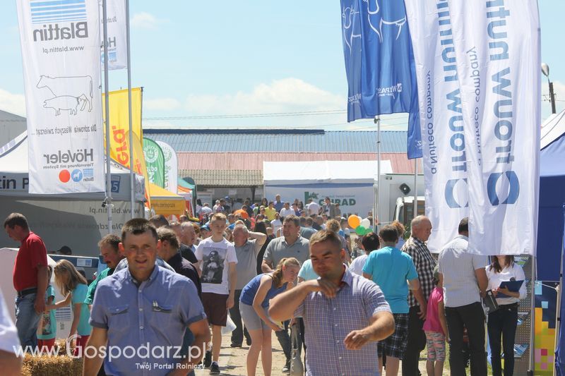 Targi rolne w Szepietowie (27-28.06.2015)