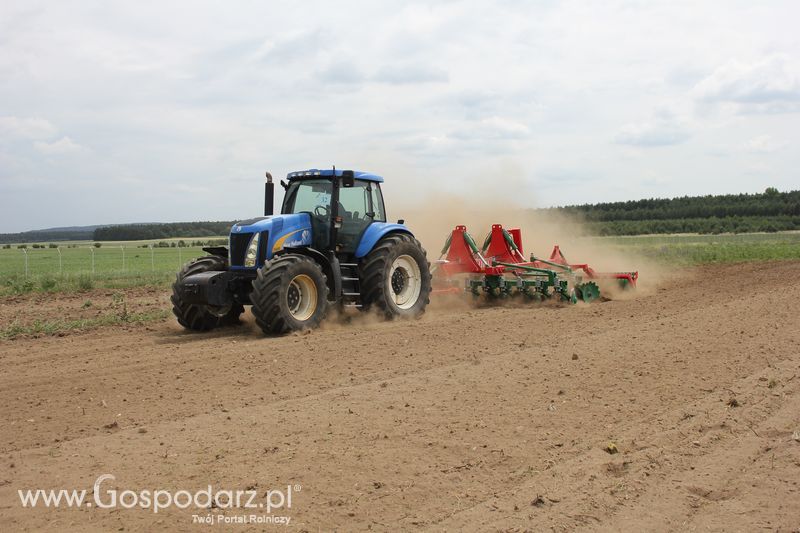 Opolagra 2011