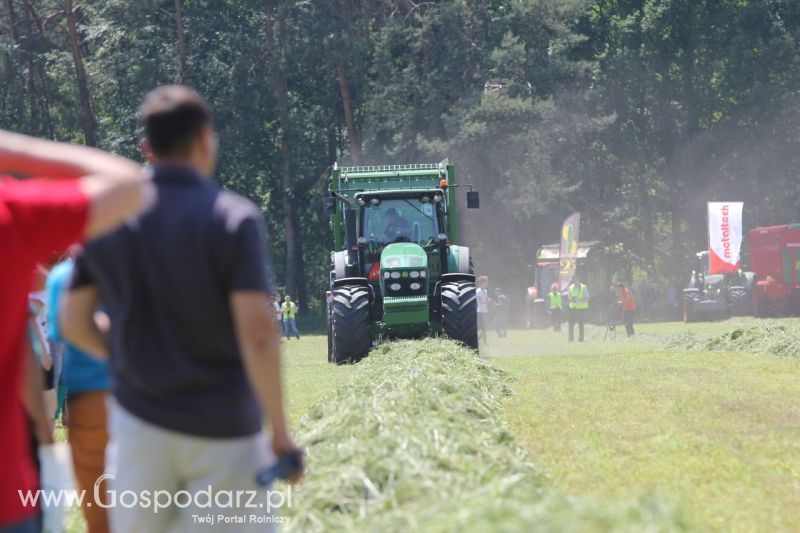 Zielone AGRO SHOW – POLSKIE ZBOŻA 2014 w Sielinku - sobota