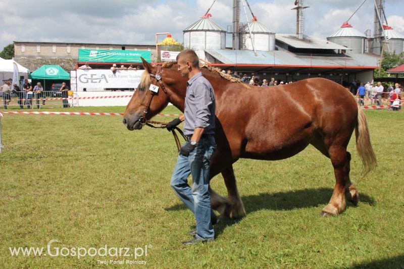 Regionalna Wystawa Zwierząt Hodowlanych i Dni z Doradztwem Rolniczym w Szepietowie-sobota