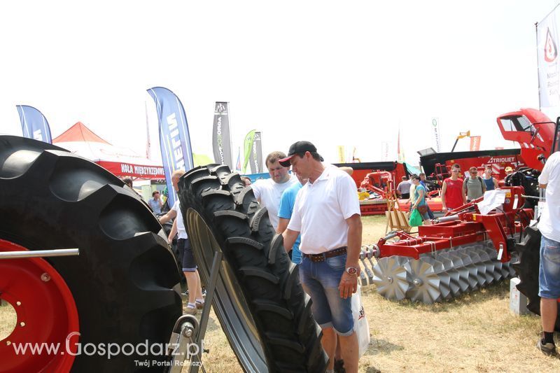 Grasdorf na OPOLAGRZE 2015