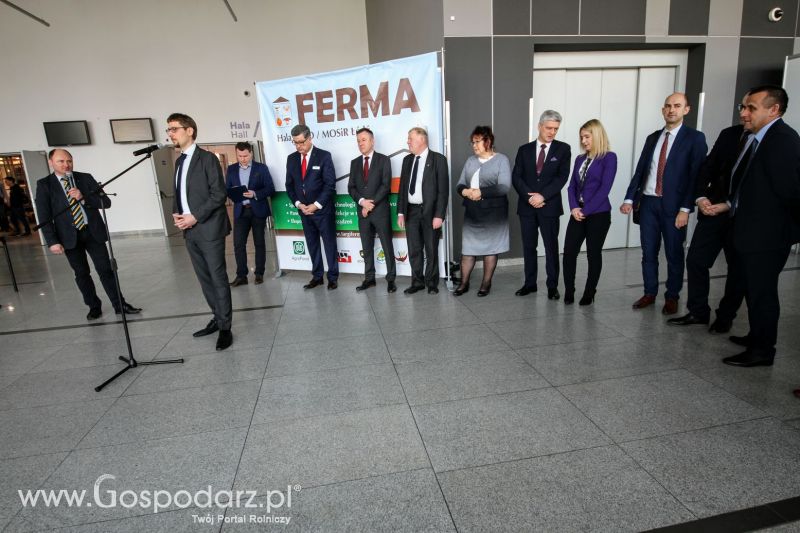 Ferma 2019 dzień 1