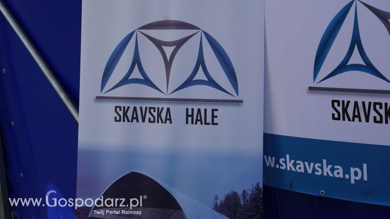 Skavska Hale na ZIELONE AGRO SHOW w Ułężu 2017