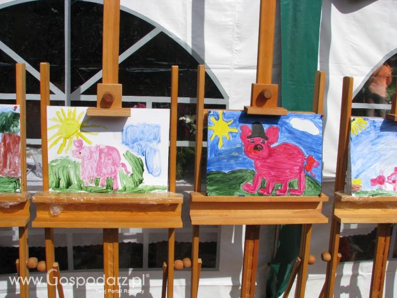 Festiwal Wieprzowiny w Koźminie Wielkopolskim 2013