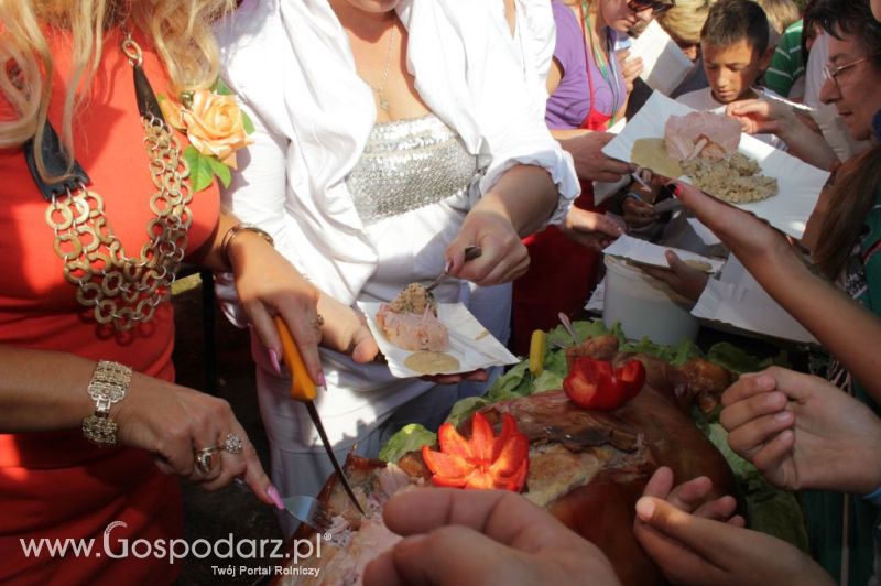 II Festiwal Wieprzowiny w Wąbrzeźnie