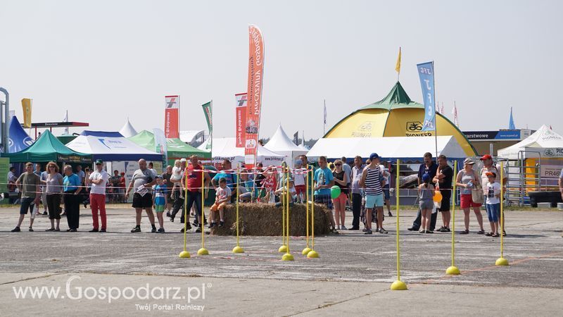 Precyzyjny Gospodarz na OPOLAGRZE 2015 - sobota