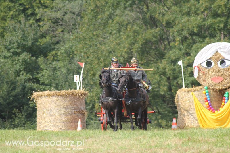 Pokazy konnych sikawek strażackich w Rudawce Rymanowskiej