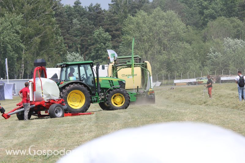 Pokazy polowe podczas targów OPOLAGRA 2015