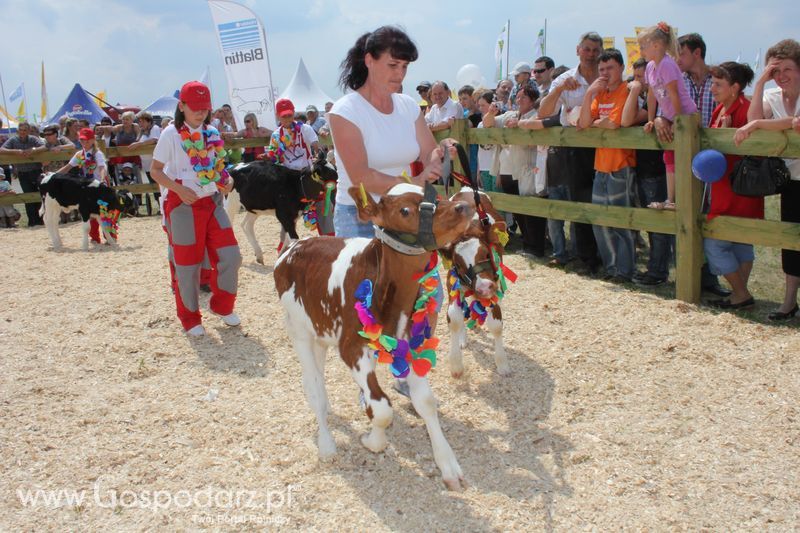 Wystawa Bydła: Konkurs Młodego Hodowcy - Opolagra 2011
