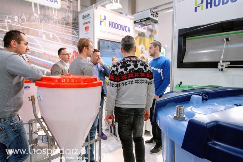 Ferma 2019 dzień 2
