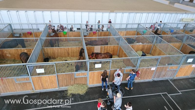 Narodowa Wystawa Zwierząt Hodowlanych 2019